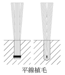 工業用ブラシ　「サンパワー」　太陽商会平線植毛2.JPG